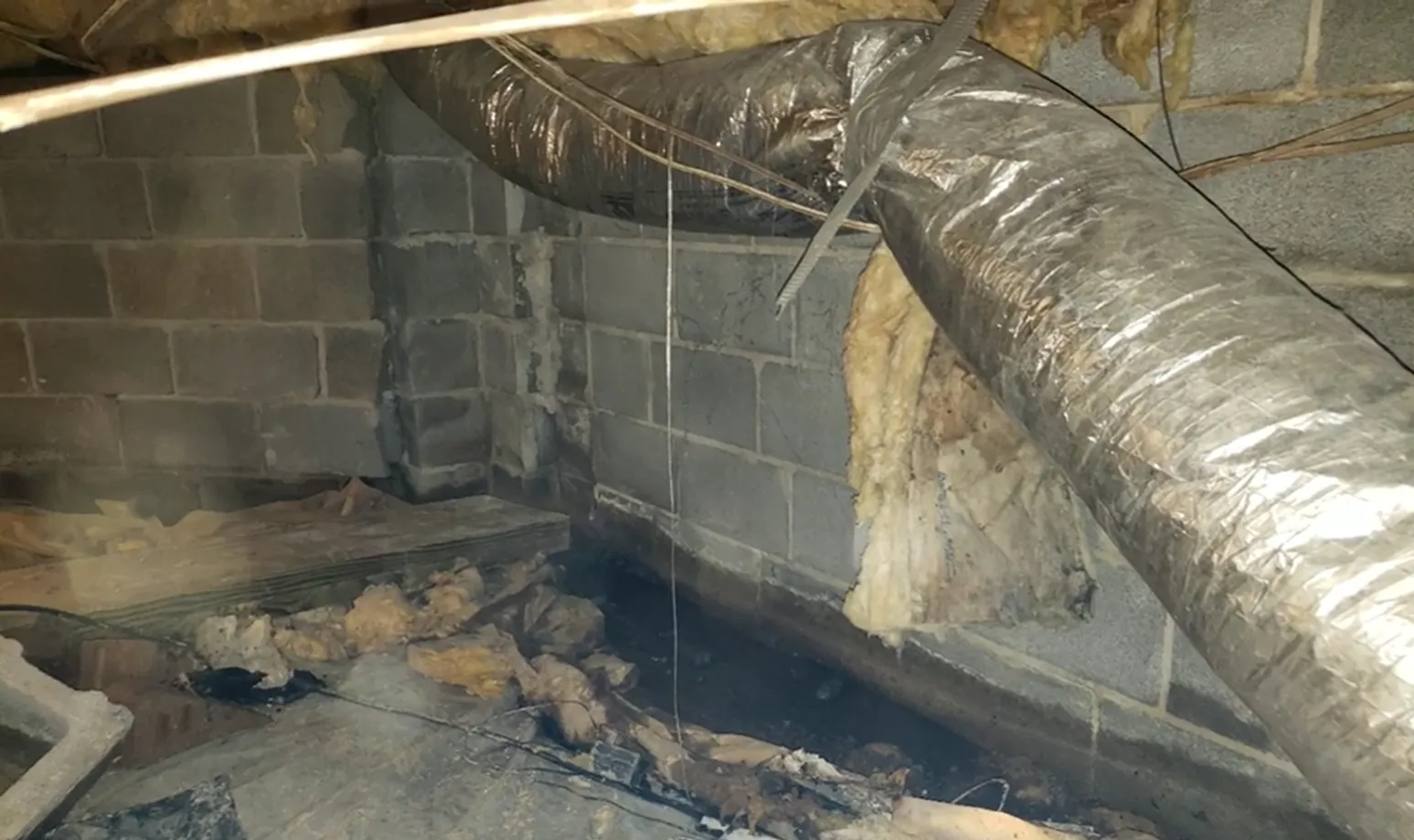 wood rot floor joist moisture thresholds structural drying